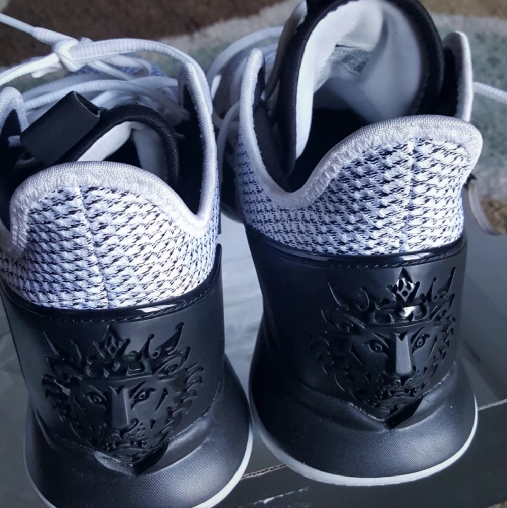 Lebron james king limited edition sneakers